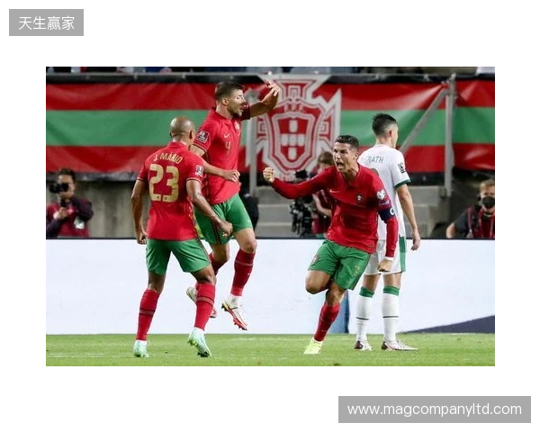 葡萄牙大名单:C罗因伤缺席,B费、维蒂尼亚领衔,B席、迪亚斯同样缺席