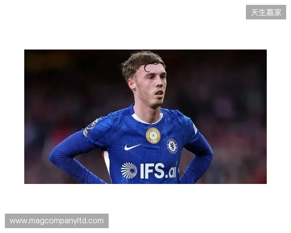 帕尔默：此前连输四场滋味并不好，赢维尔港让大家重拾好心情